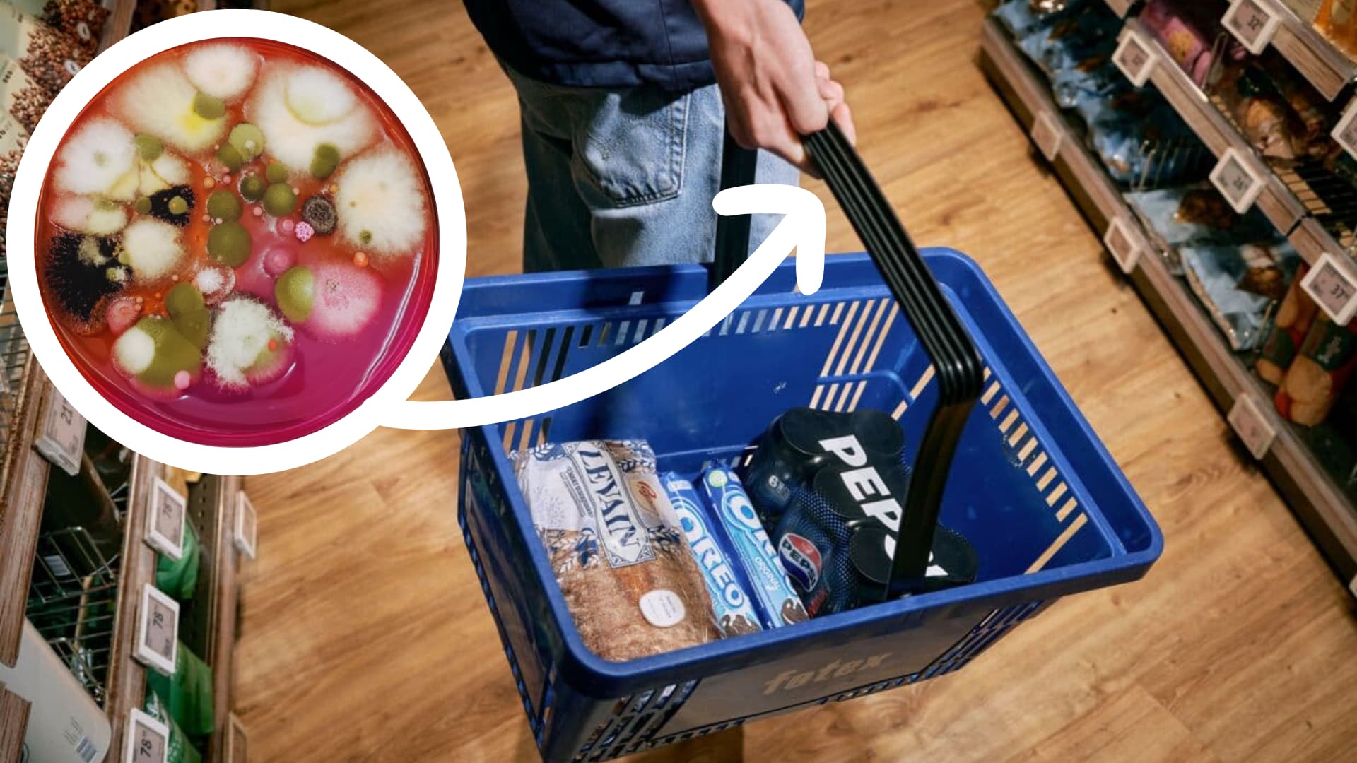 Bakterier zoomet fra indkøbskurvens håndtag